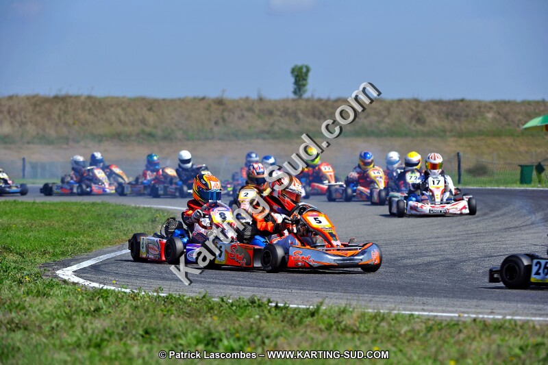 DSC_ (1310).jpg
